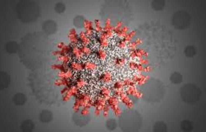 Coronavirus : l’épidémie s’étend plus vite que la capacité de test