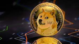 Dogecoin could become internet’s currency, Robinhood CEO says